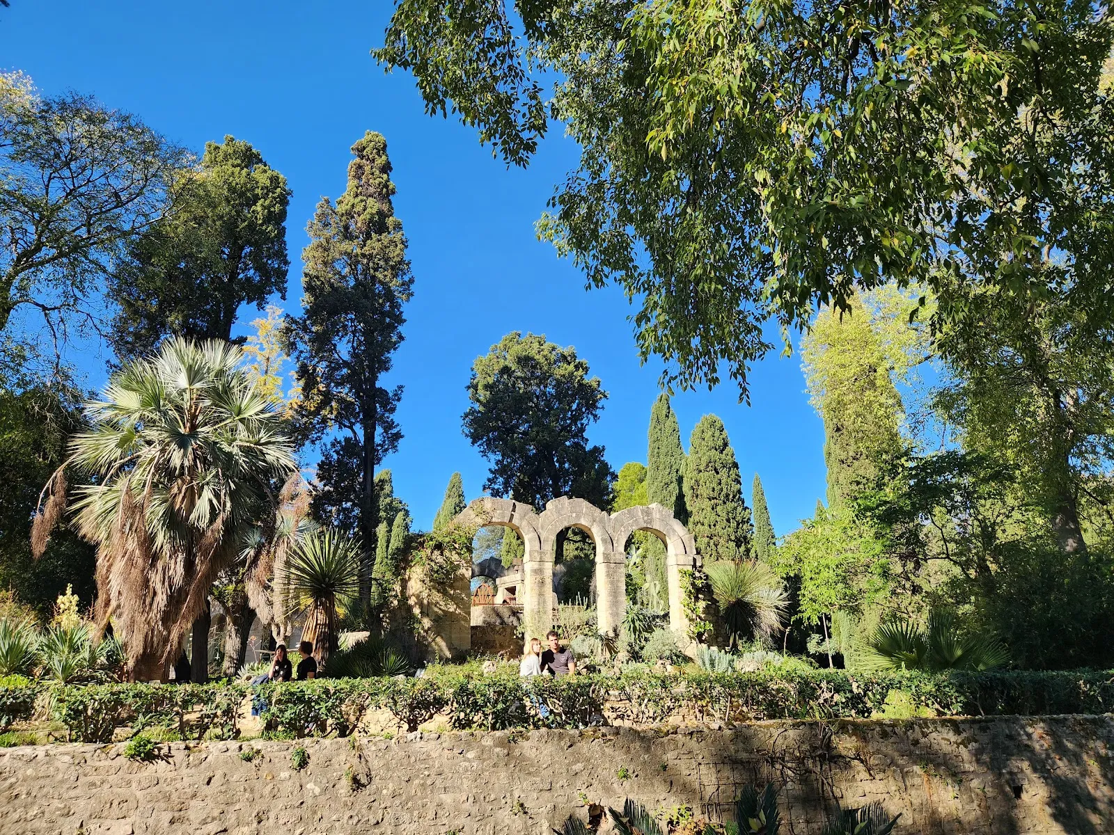 Orangerie Du Jardin Des Plantes