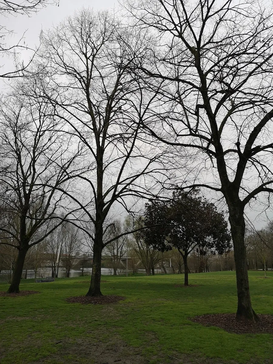 Parc Activités Pour Les Enfants.