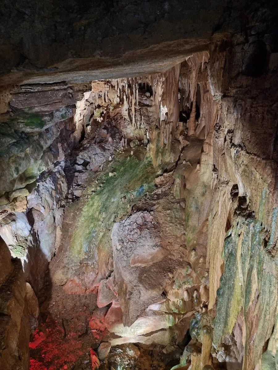 Parc Animalier De Gramat