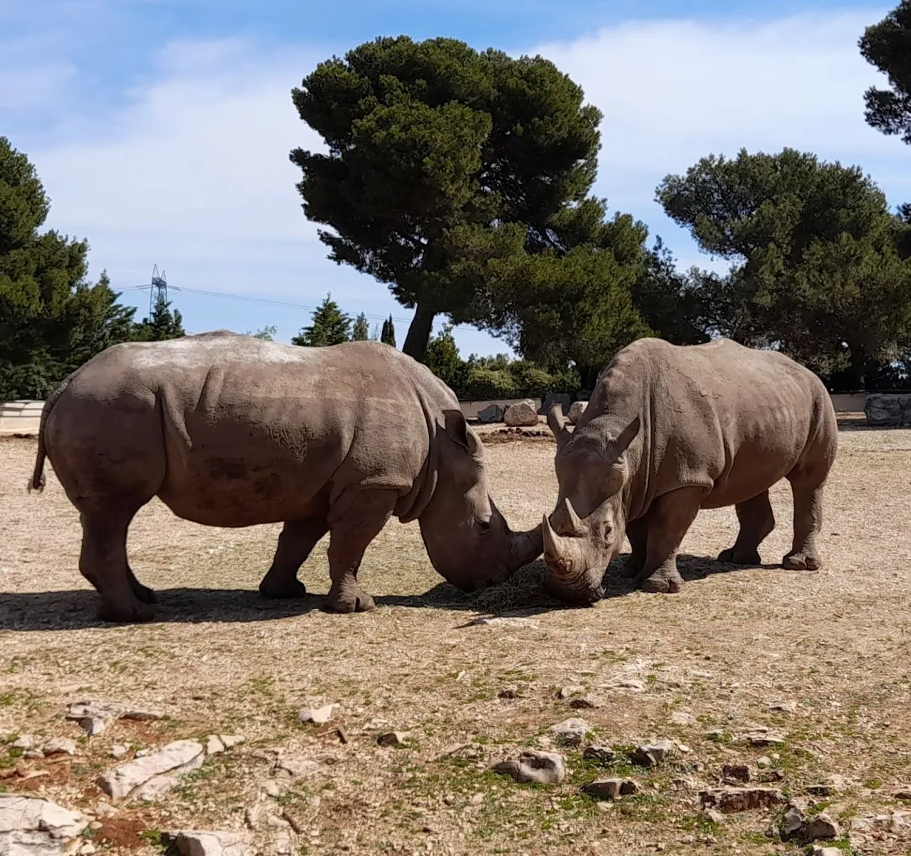 Parc Animalier De la Barben