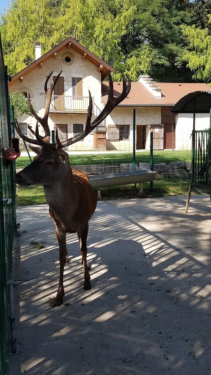 Parc Animalier De la Grande Jeanne