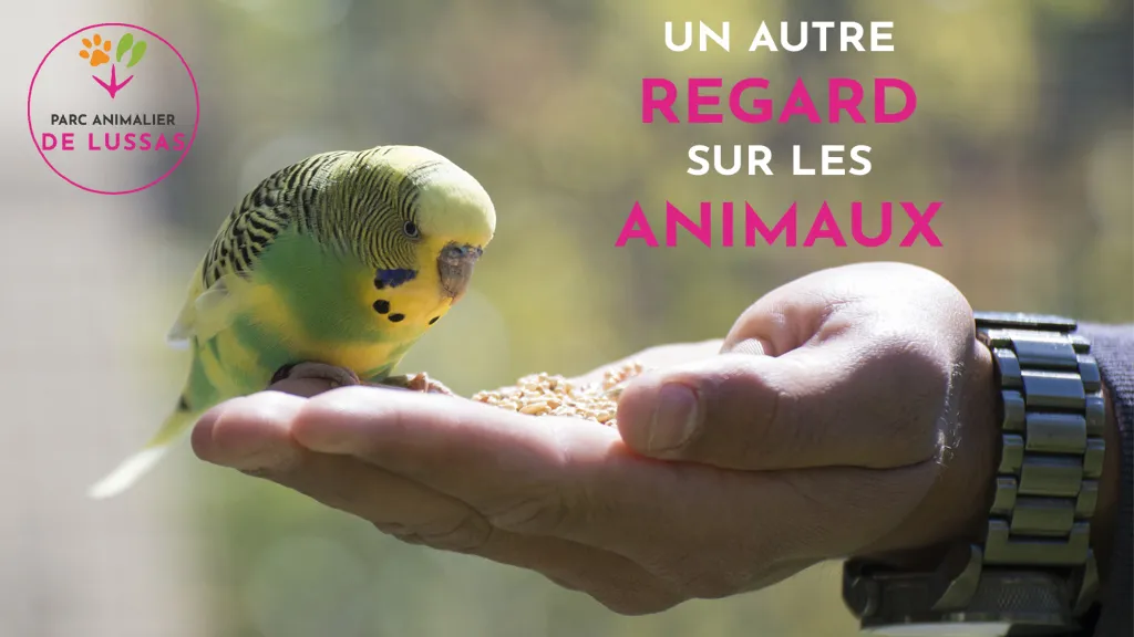 Parc Animalier De Lussas — photo 1