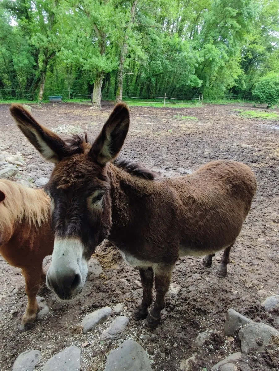 Parc Animalier De Lussas