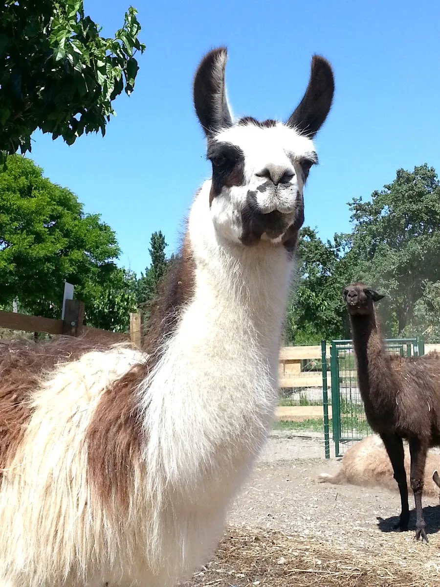Parc Animalier De Lussas