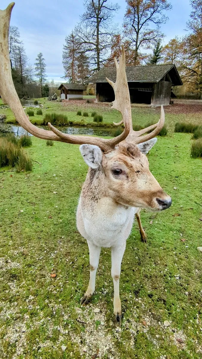 Parc Animalier Des Dronières