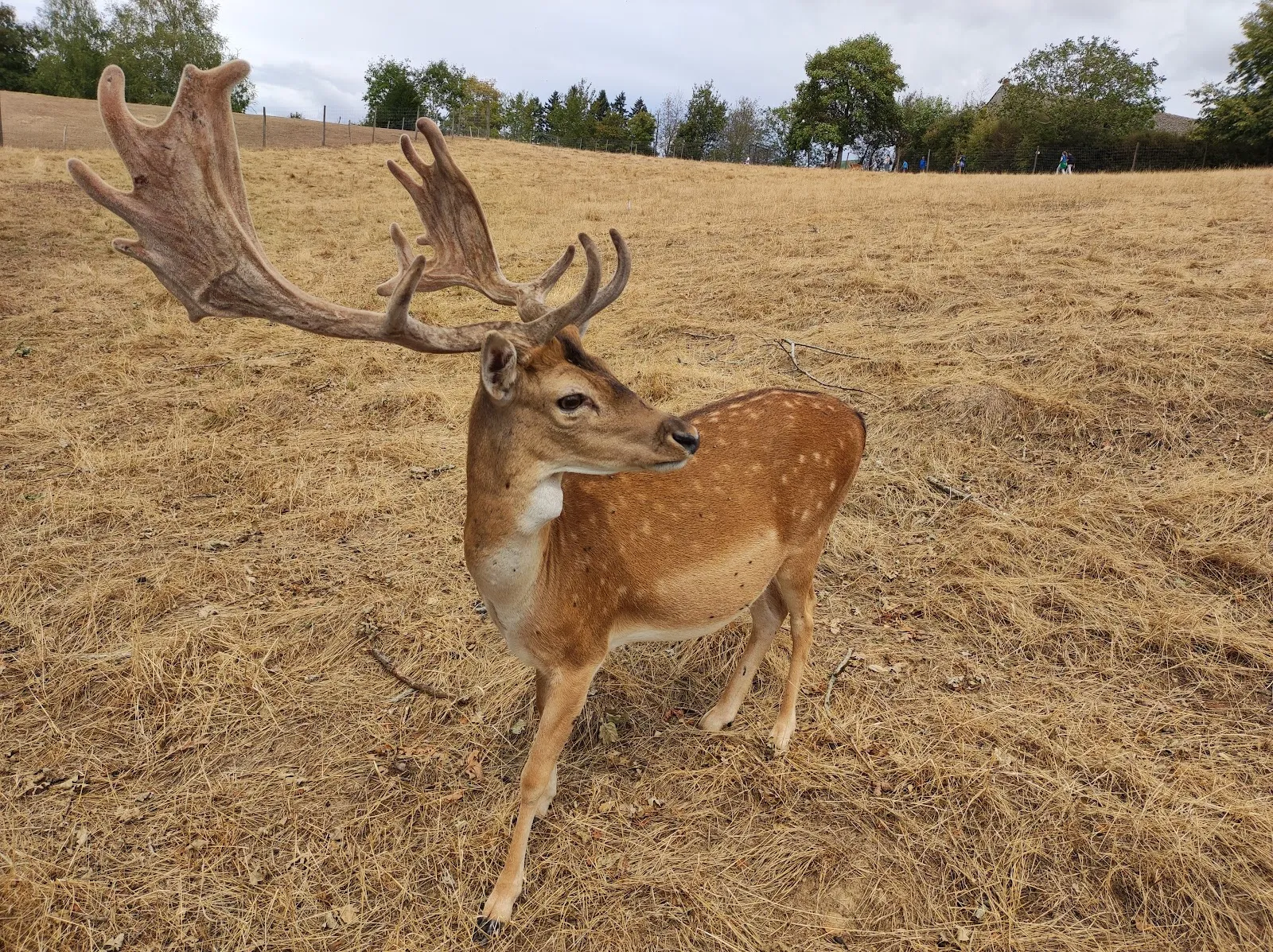 Parc Animalier Du Ségala