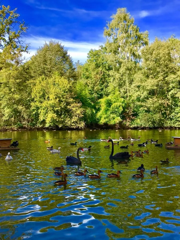 Parc Animalier S.R.P.O