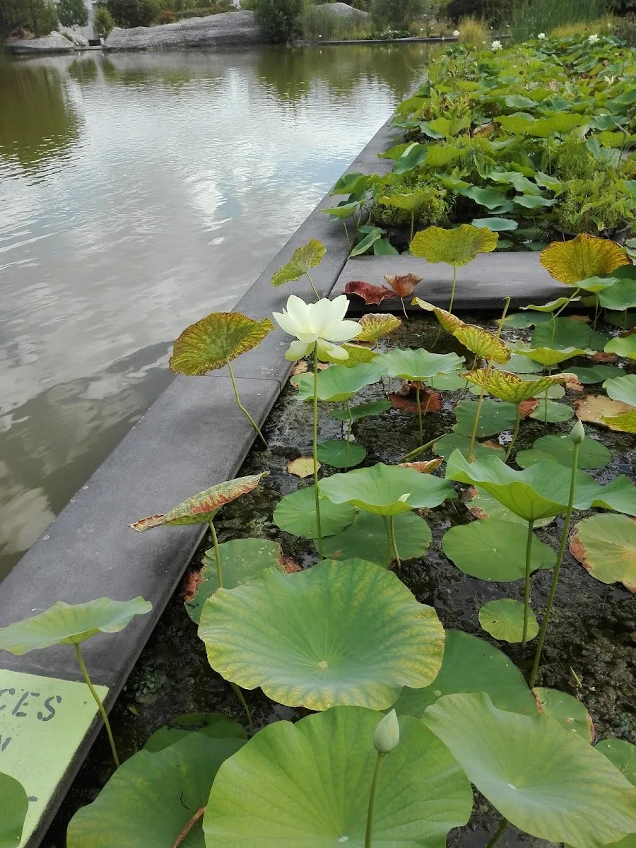 Parc Aux Angéliques