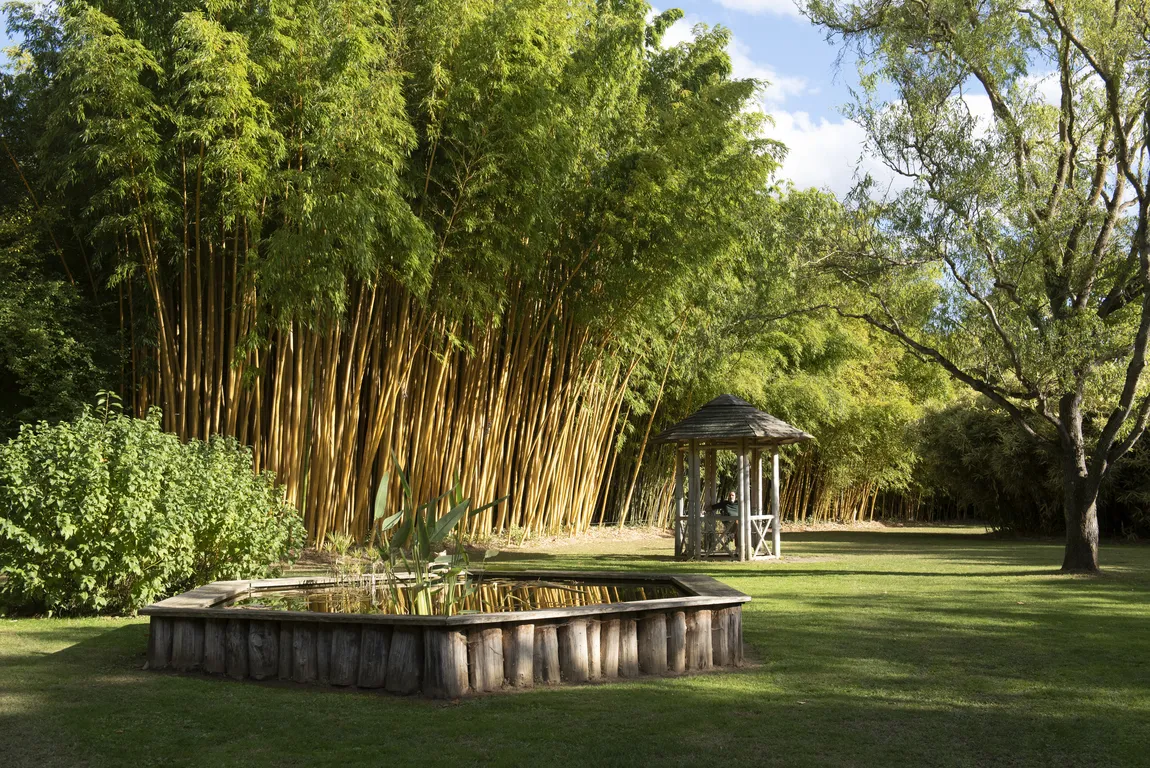 Parc Aux Bambous Sarl — photo 1