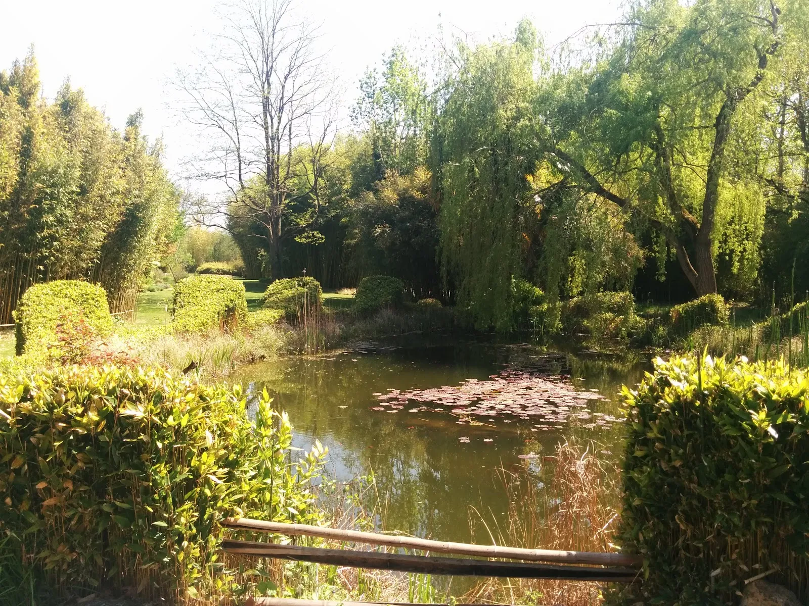 Parc Aux Bambous Sarl