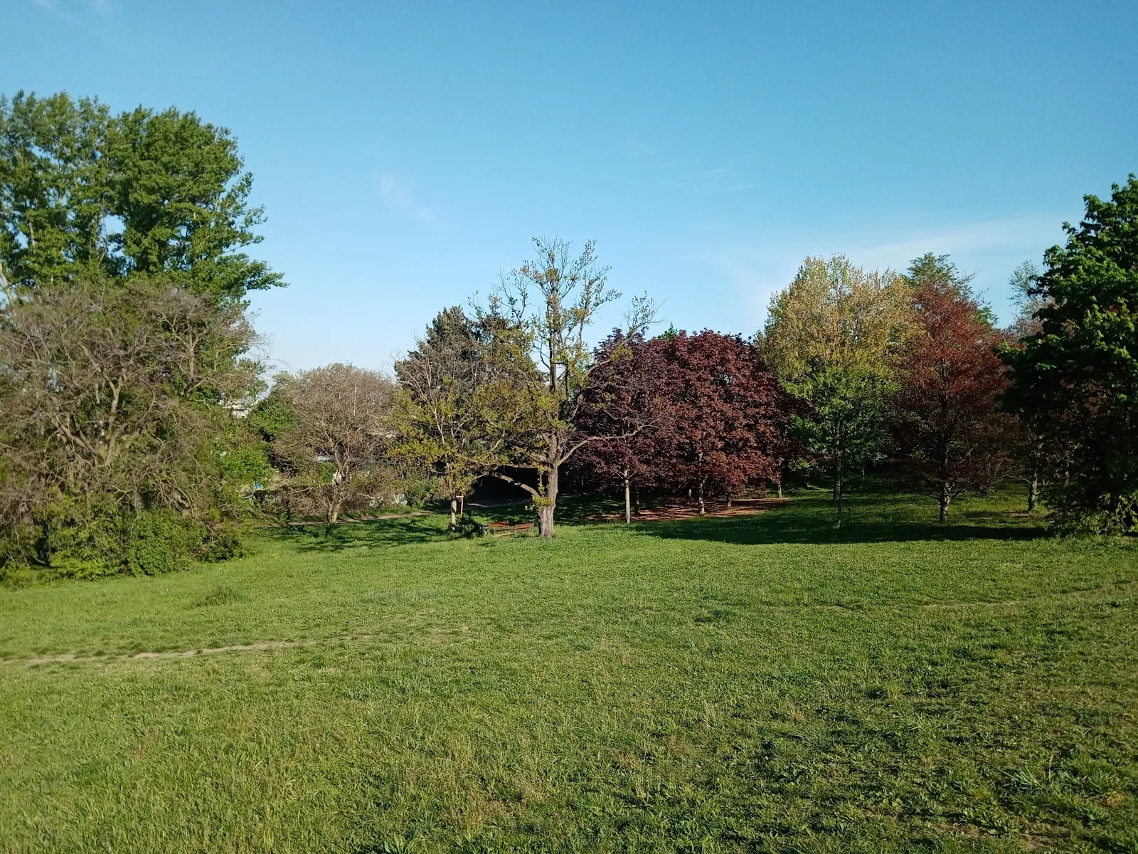 Parc Chambovet — photo 1