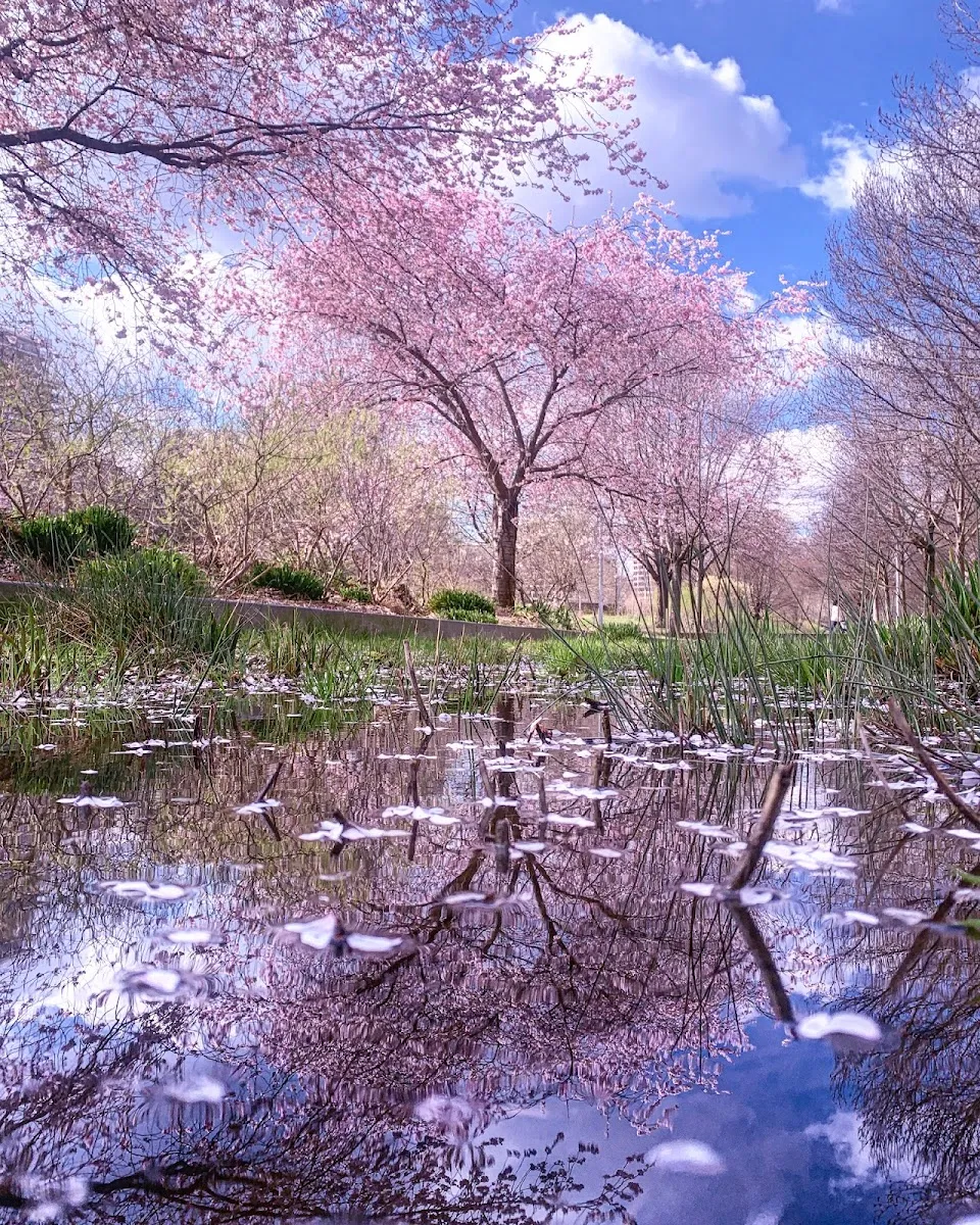 Parc Clichy Batignolles Martin Luther King