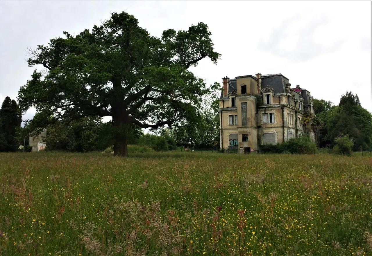 Parc De Castillon — photo 1