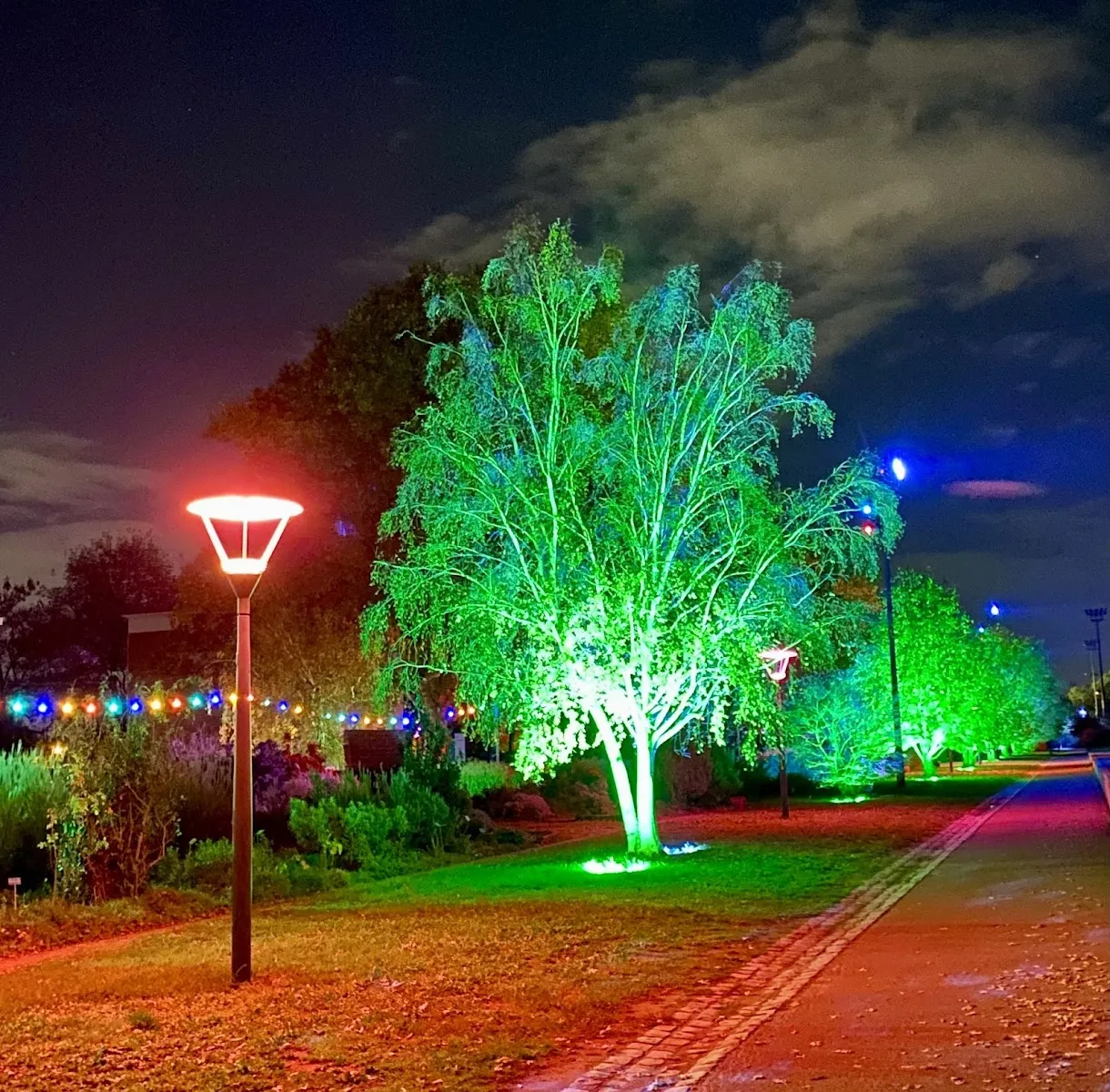 Parc Henry-Chabert (Gerland)