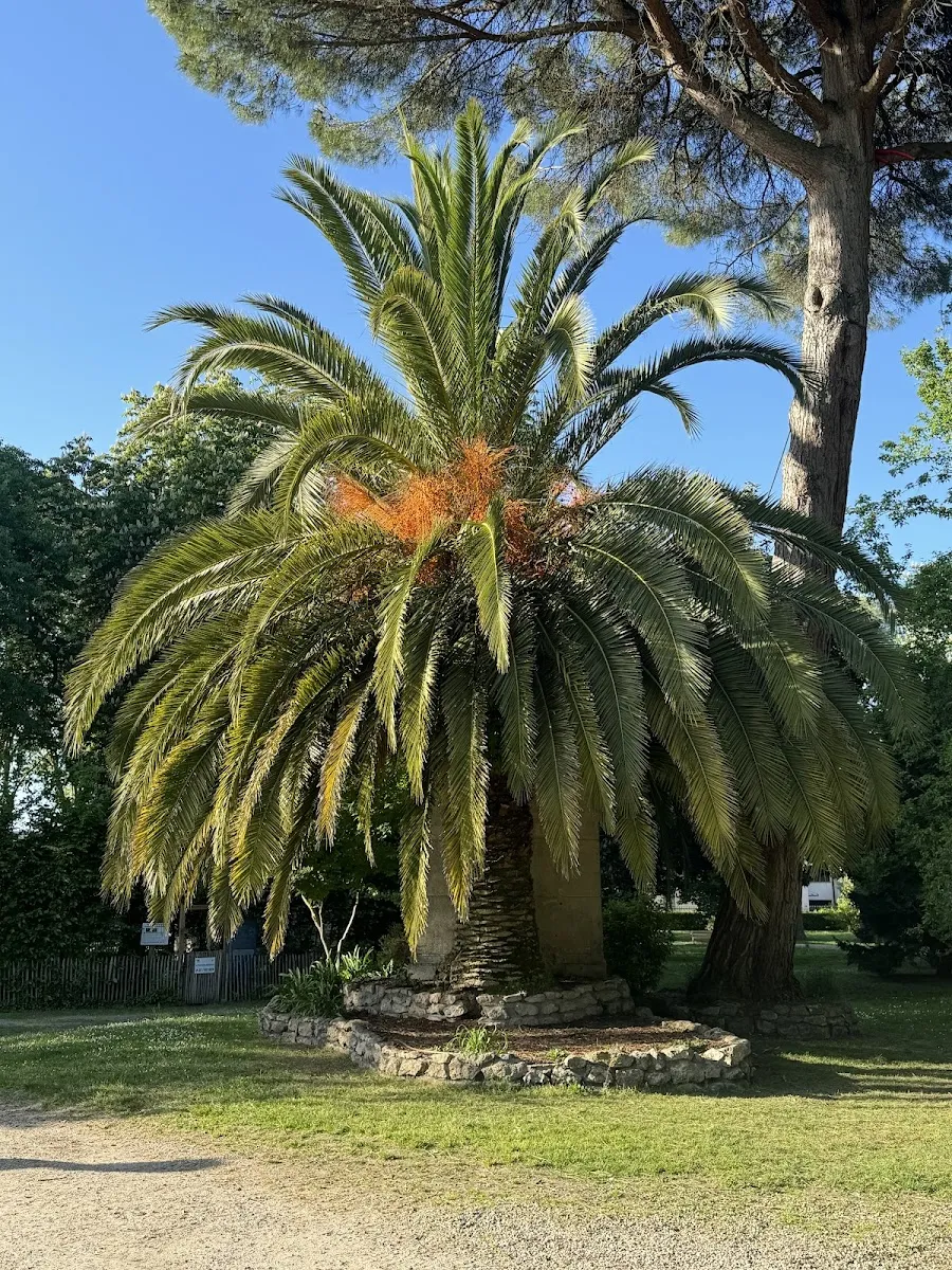 Parc De L'Ermitage — photo 1