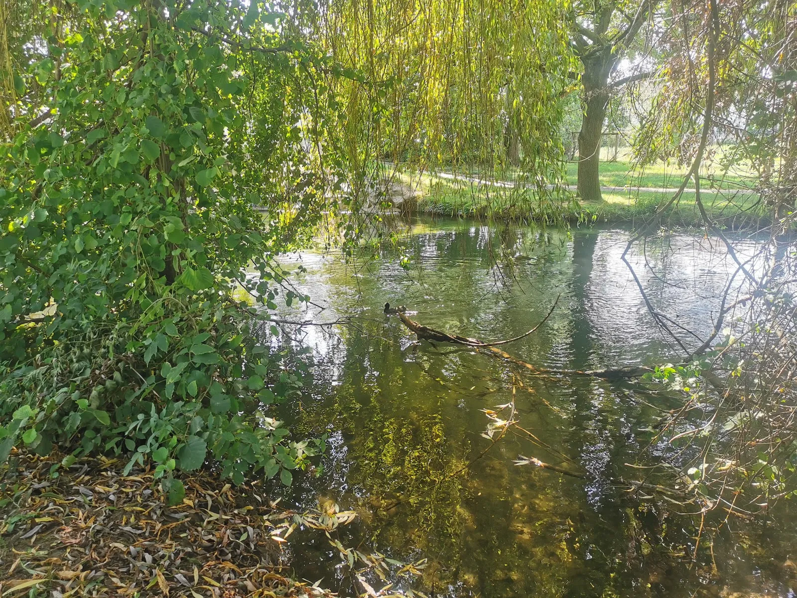 Parc De L'Extenwoerthfeld