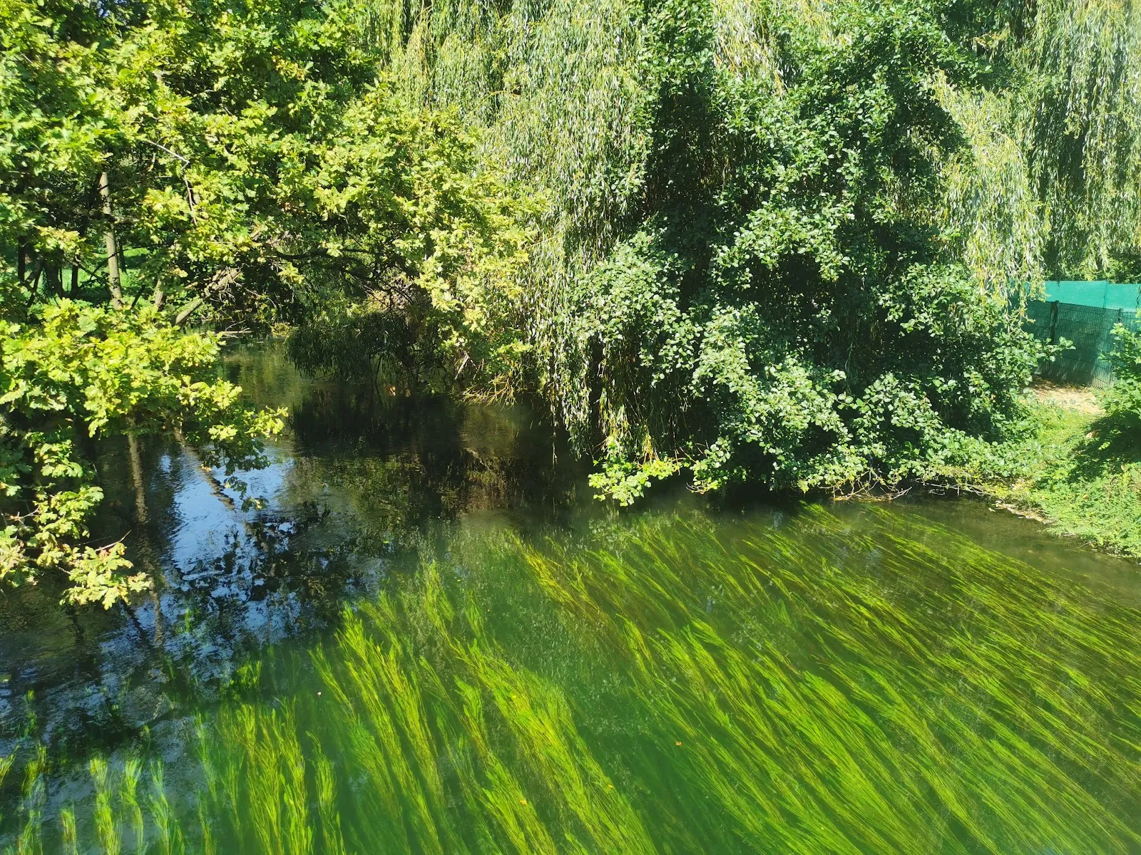 Parc De L'Extenwoerthfeld