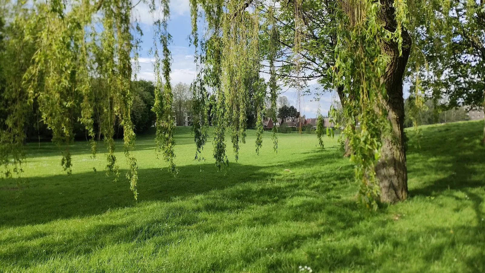 Parc De L'Université De Lille Campus Pont De Bois