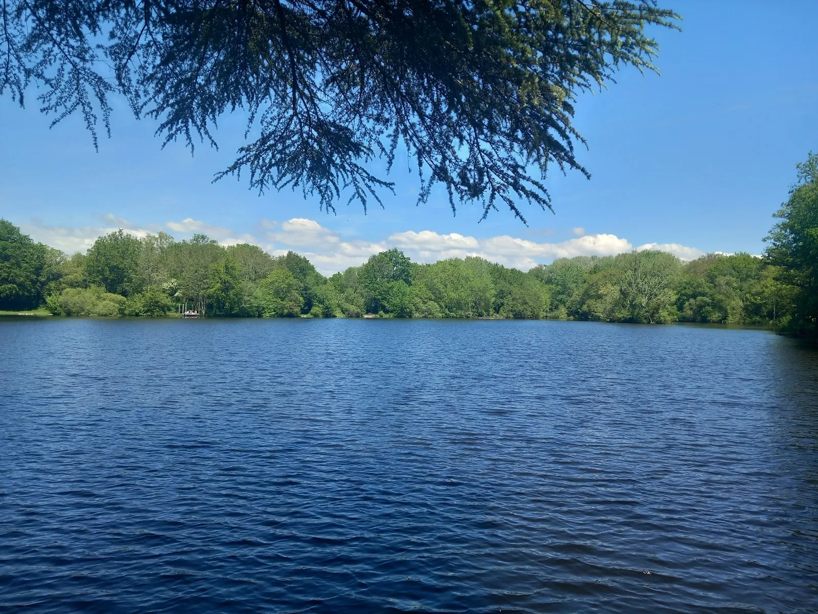 Parc De la Gournerie