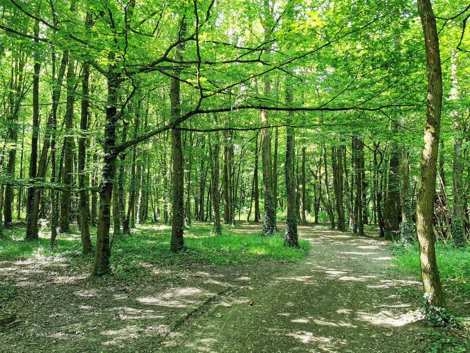 Parc De la Gournerie