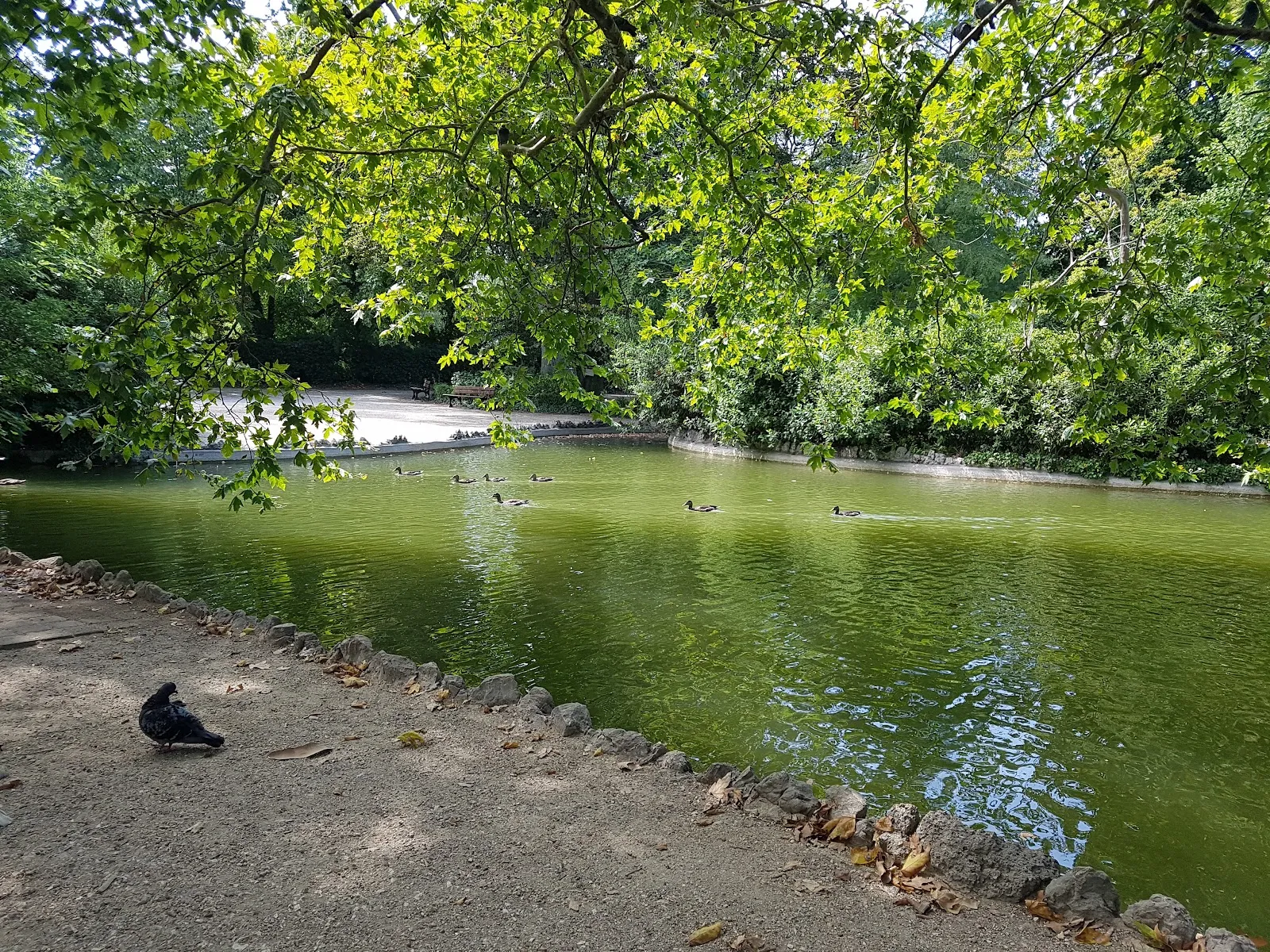 Parc De la Maison Blanche - Charles Aznavour — photo 1