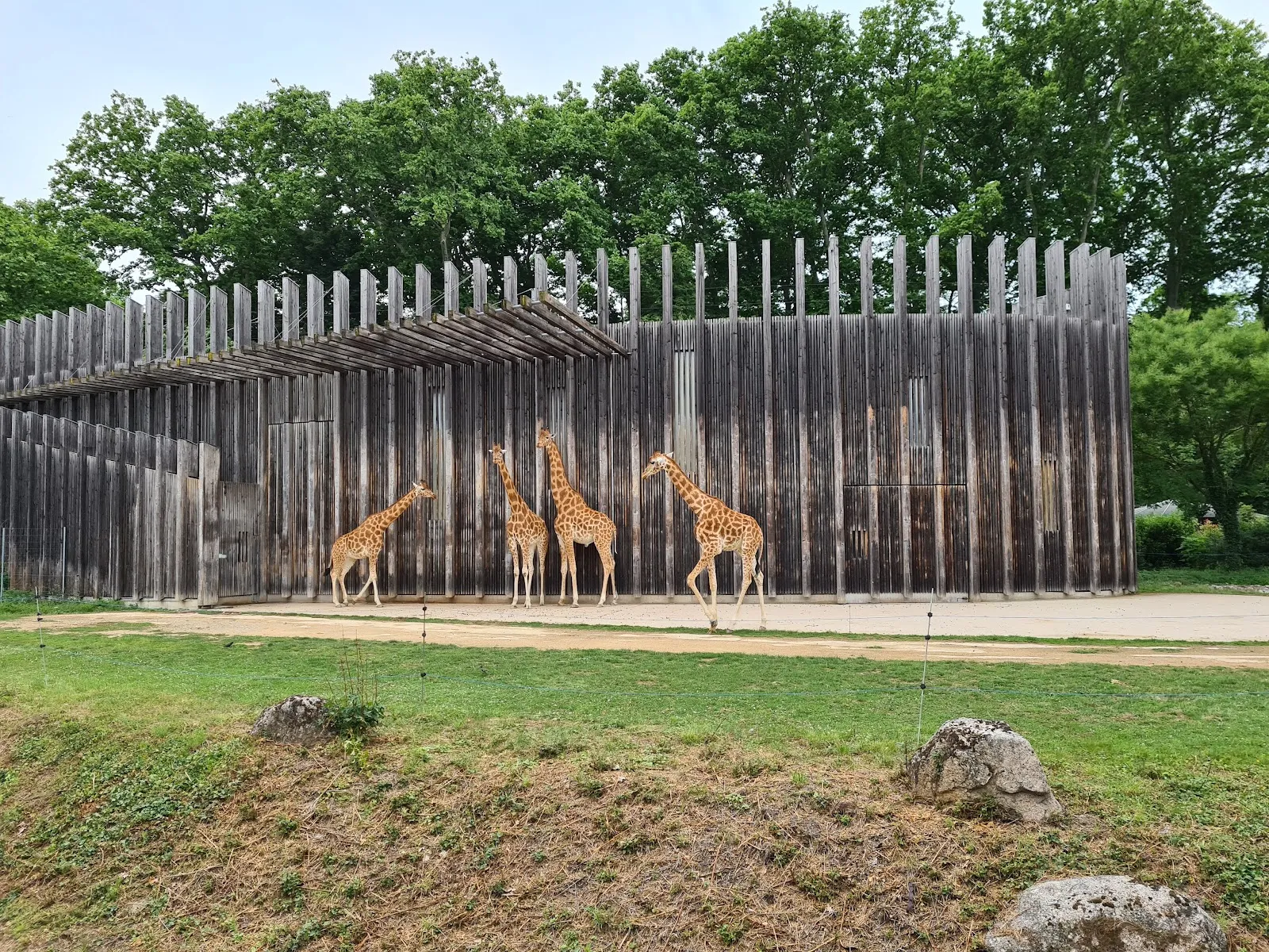 Parc De la Tête D'Or