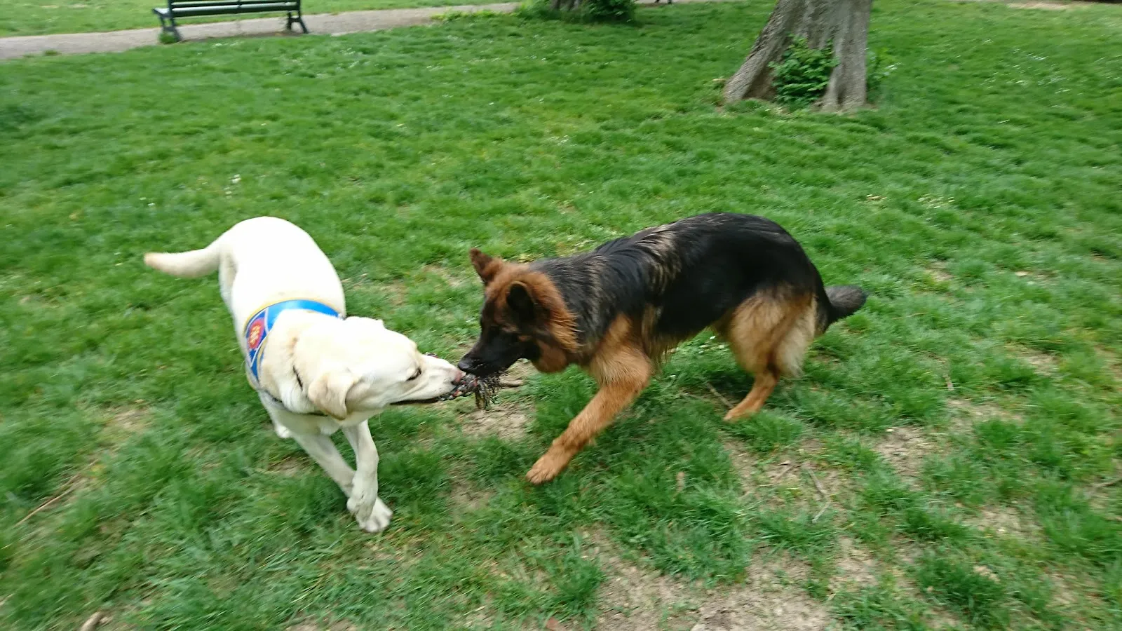 Parc De la Villa Méricant