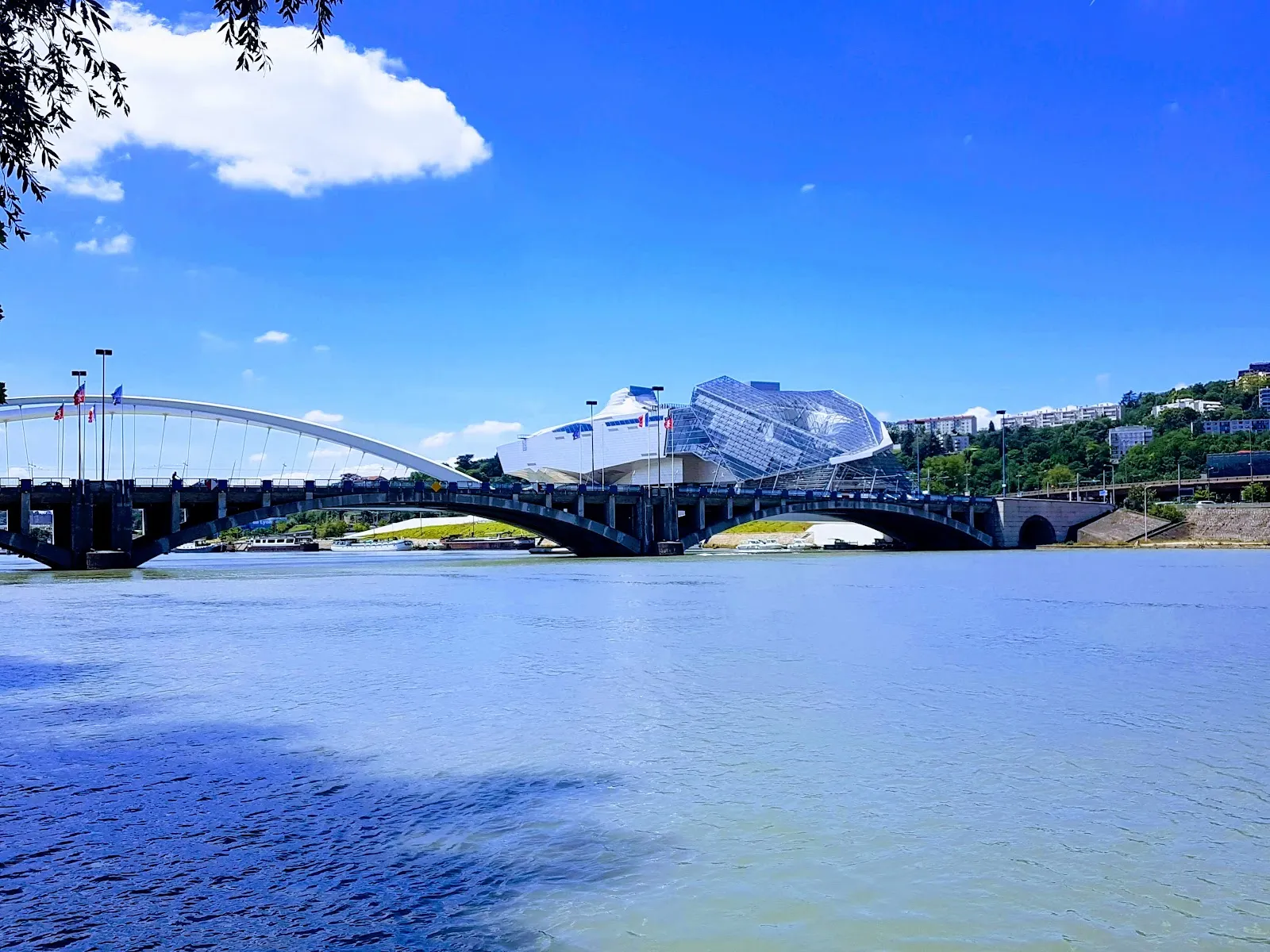 Parc Des Berges Du Rhône — photo 1