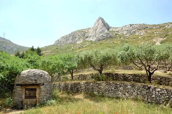 Parc Des Bruyères — photo 1