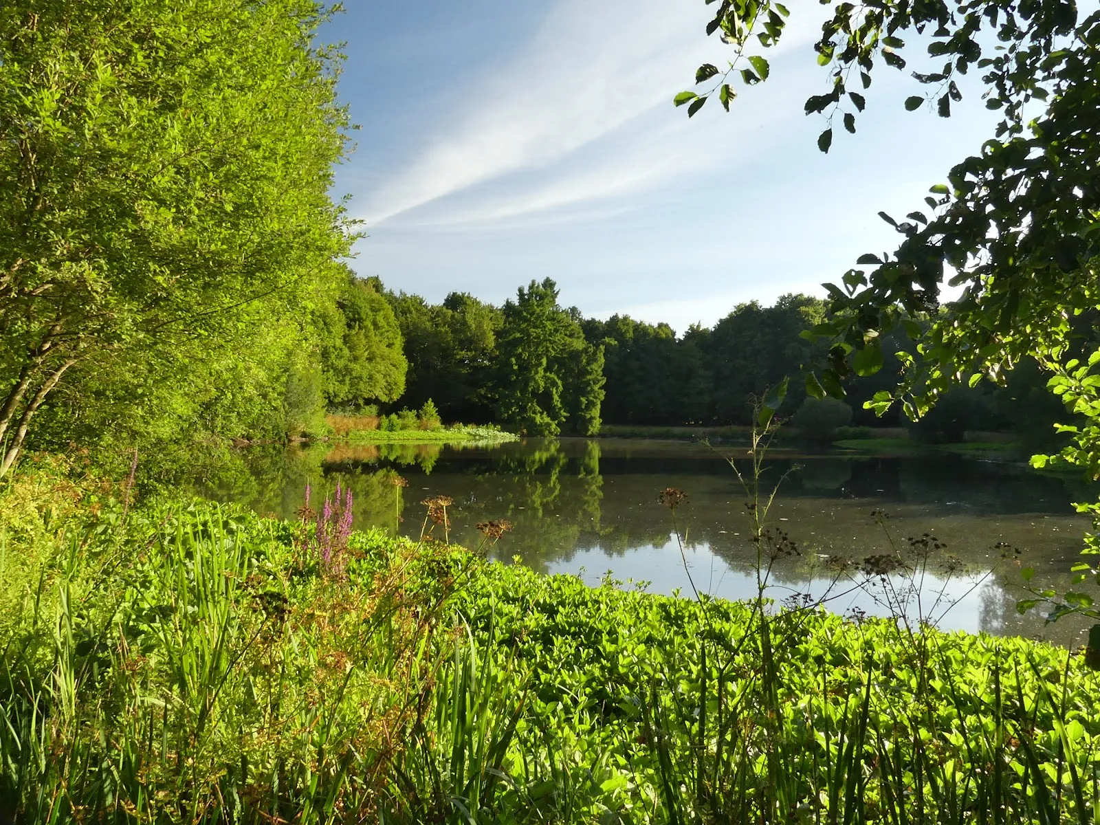 Parc Des Gayeulles — photo 1