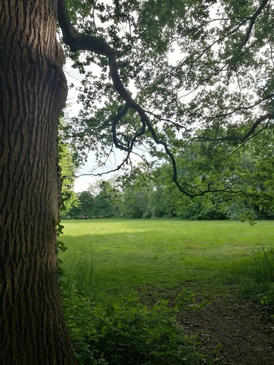 Parc Des Hautes Ourmes