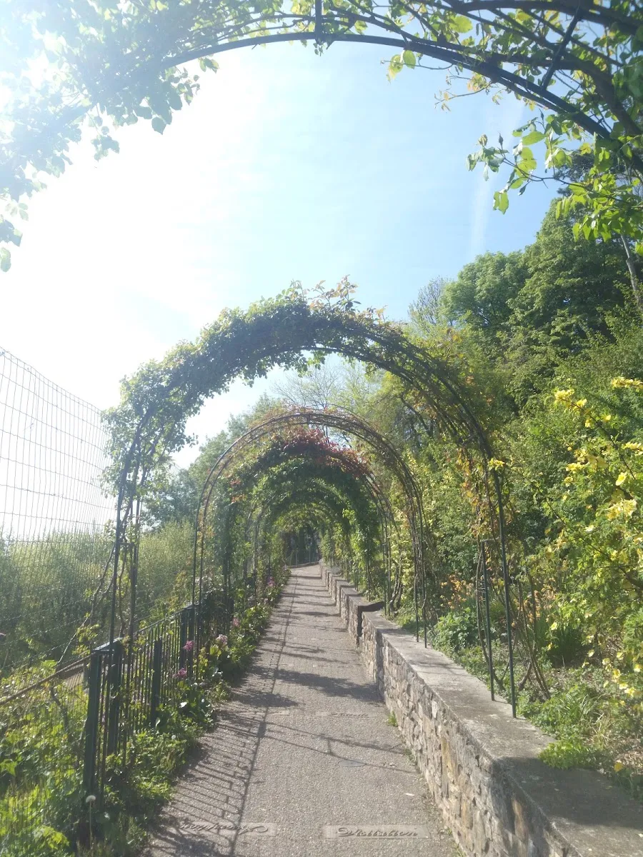 Parc Des Hauteurs