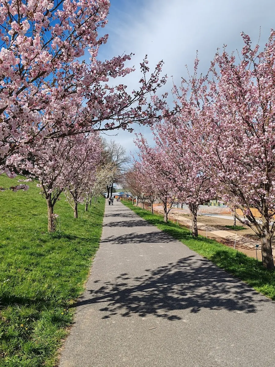 Parc Des Jardins De Haute-Savoie — photo 1