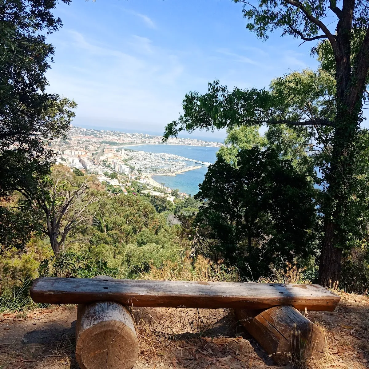 Parc Du Paradou — photo 1