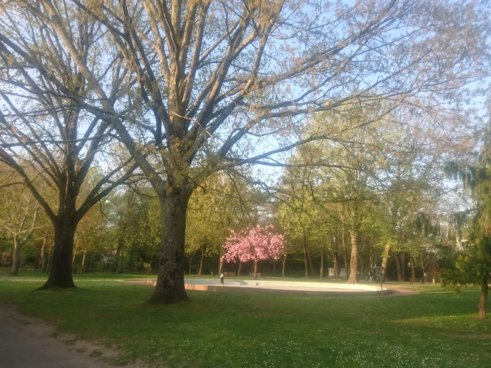 Parc Du Plessis Tison