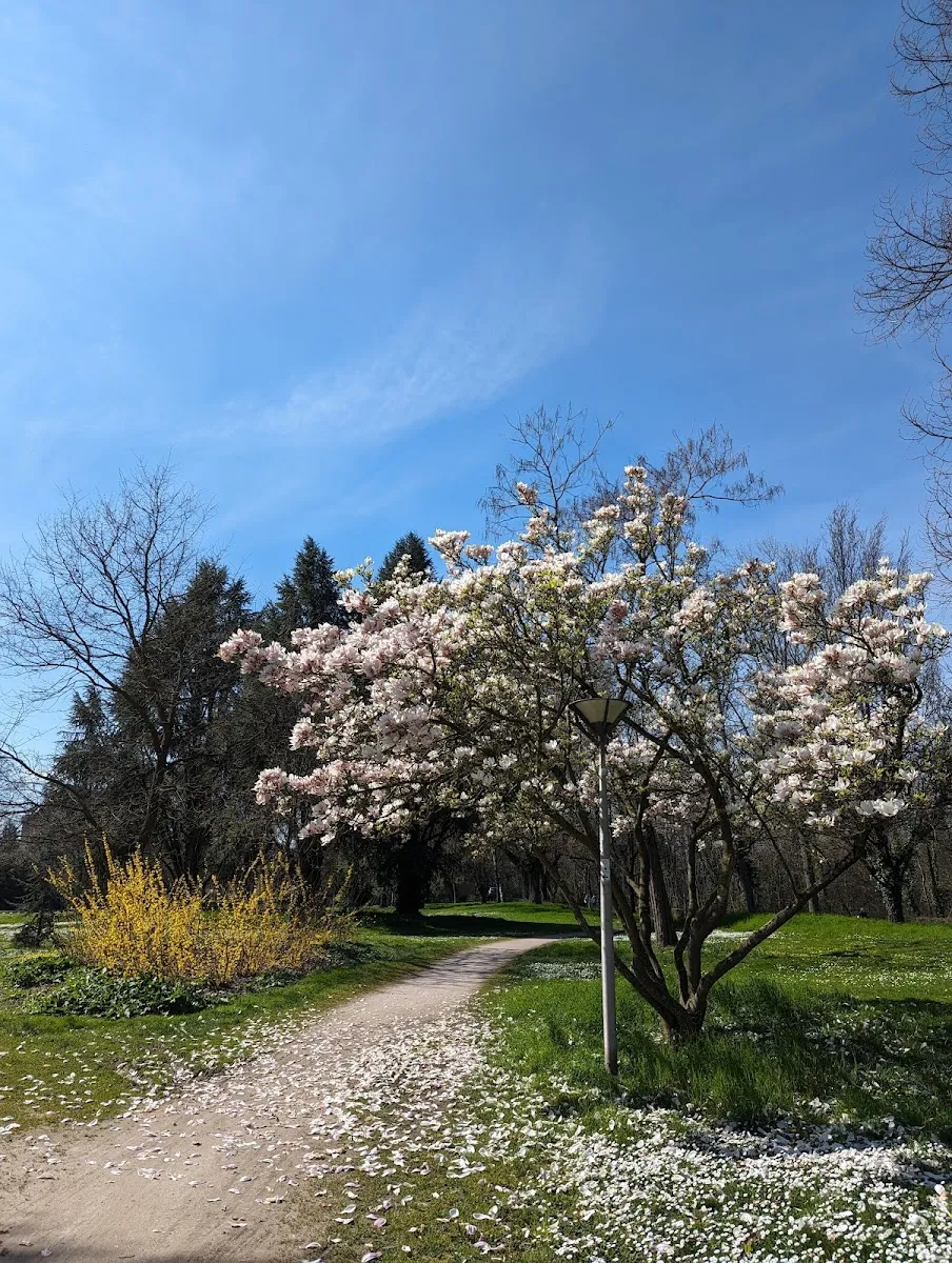 Parc Eugène Imbs — photo 1