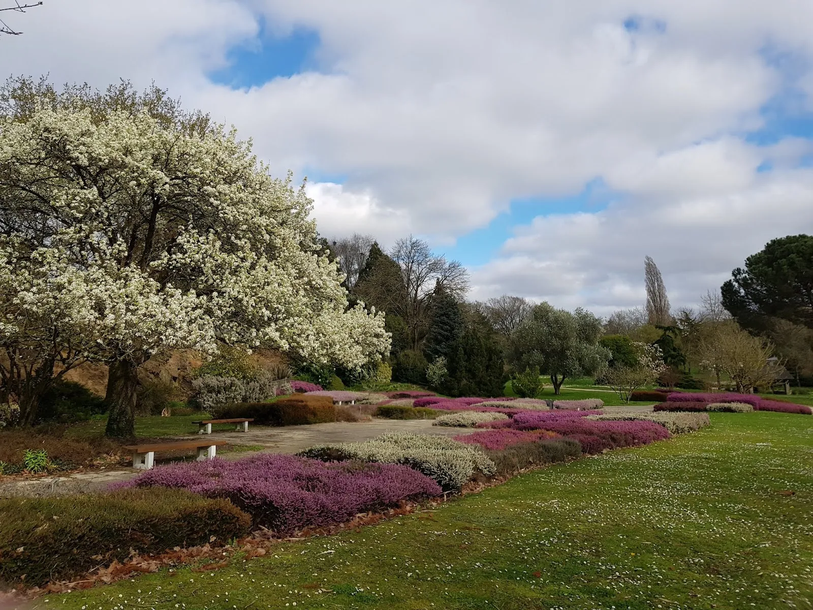 Parc Floral De la Beaujoire