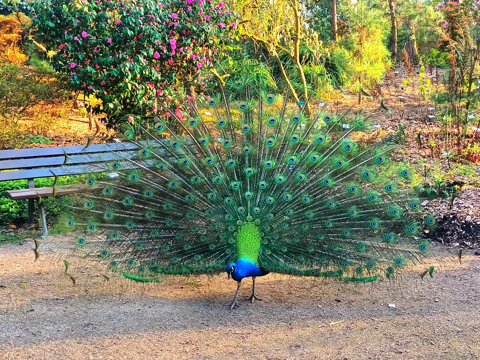 Parc Floral De Paris