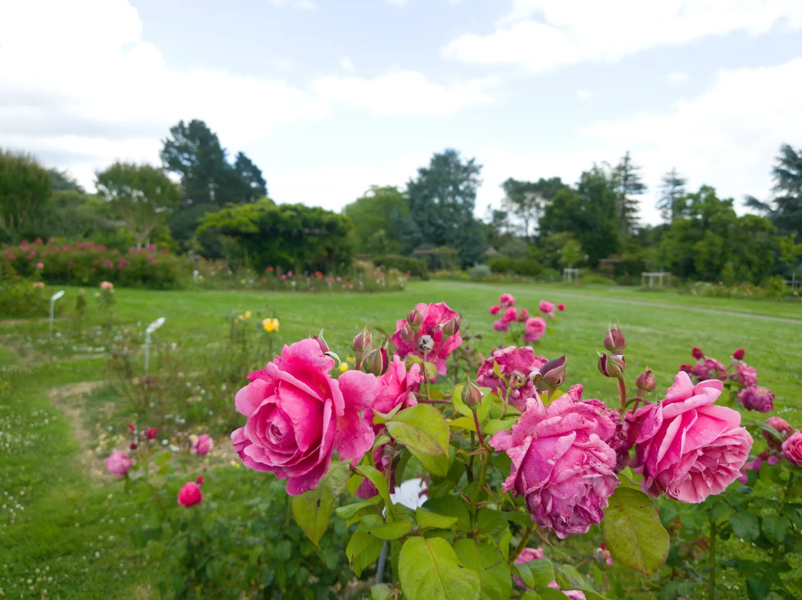 Parc Floral la Roseraie