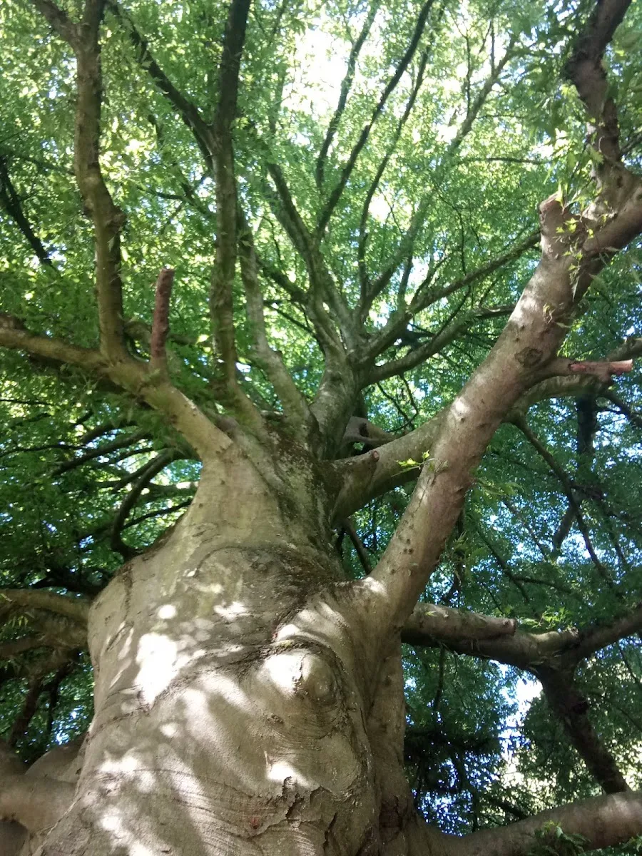 Parc François Mitterrand