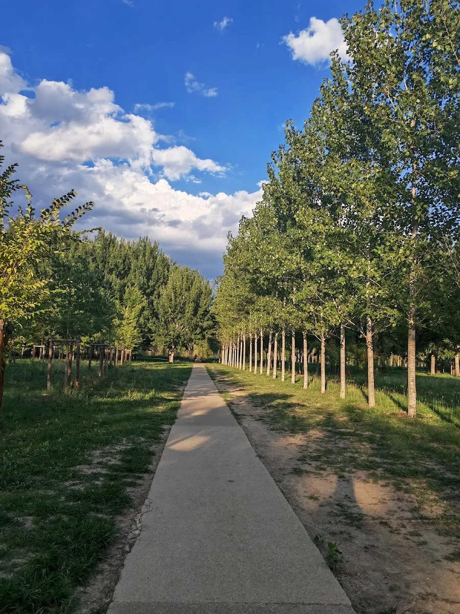 Parc Georges Charpak — photo 1