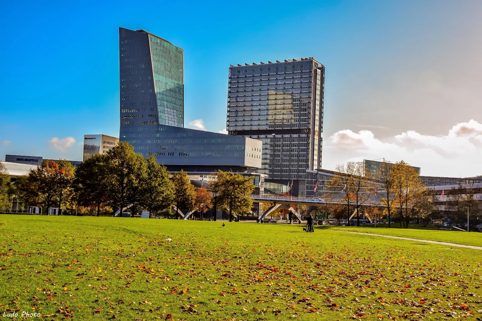Parc Henri Matisse — photo 1