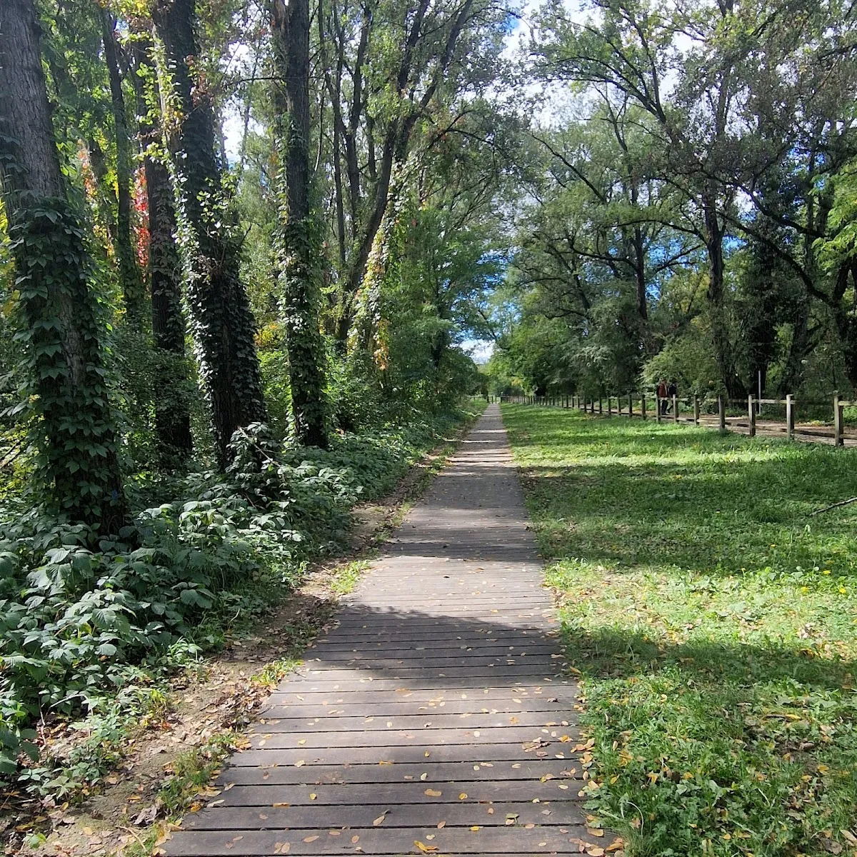 Parc Naturel De la Feyssine