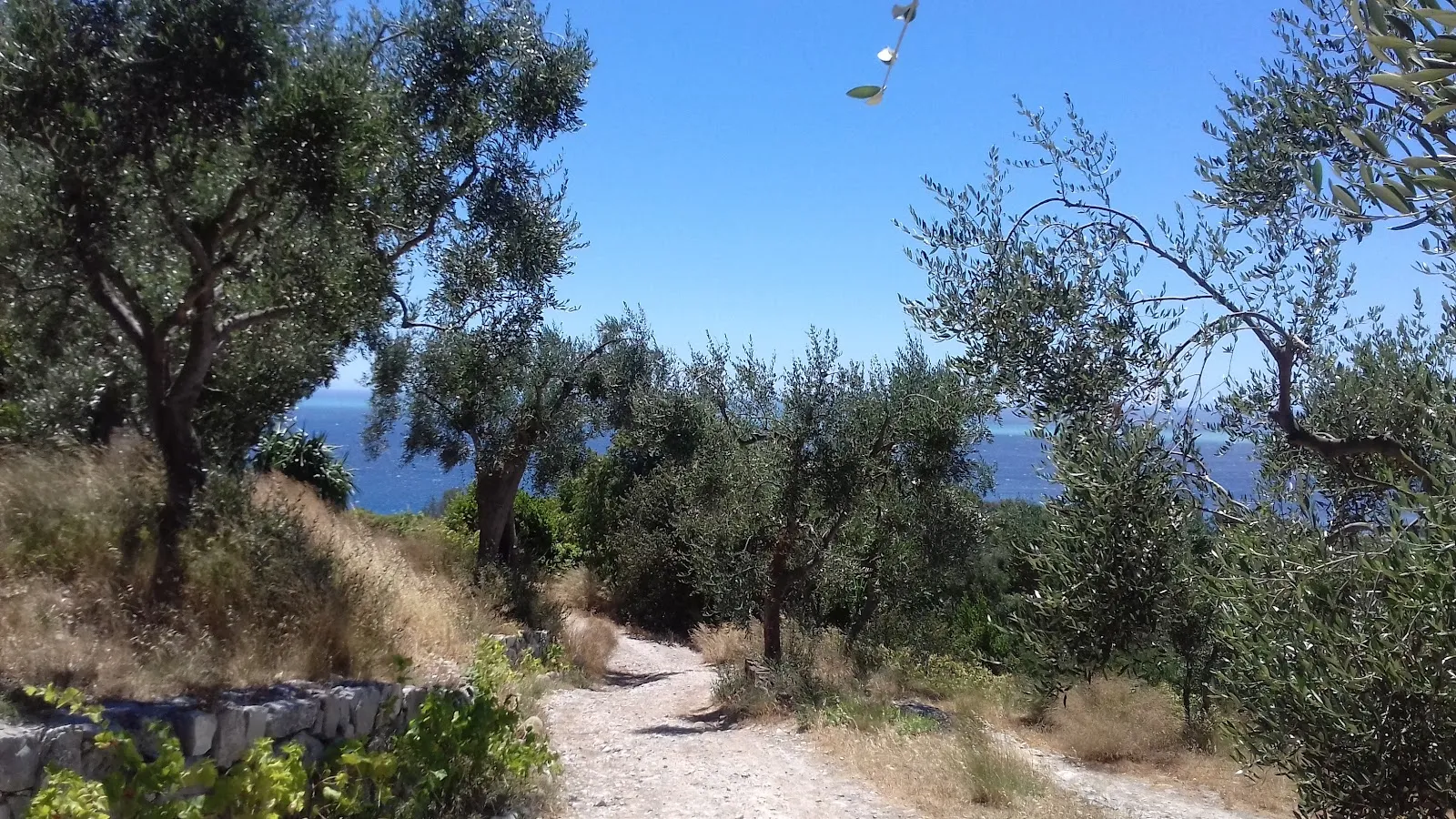 Parc Naturel Départemental Honoré D'Estienne D'Orves