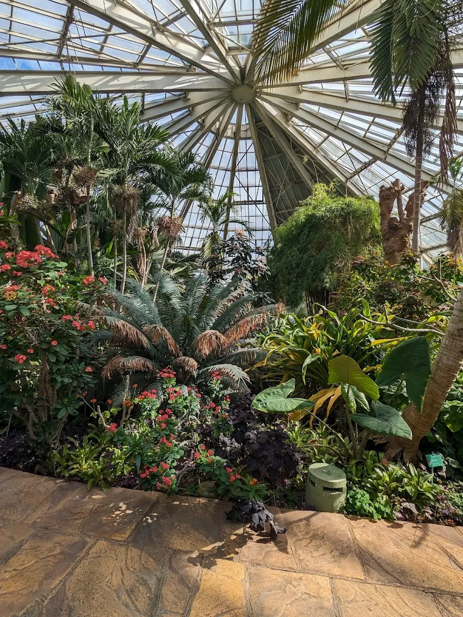 Parc Phœnix — photo 1