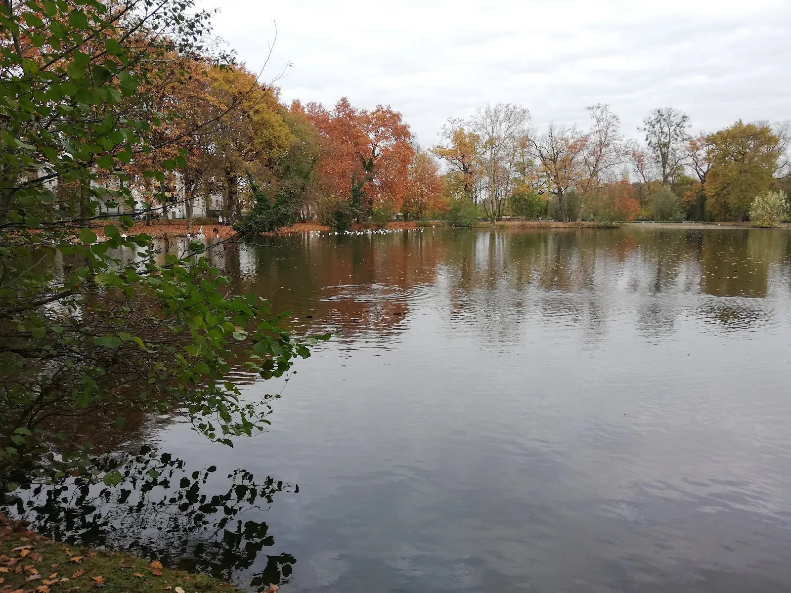 Parc Schulmeister — photo 1