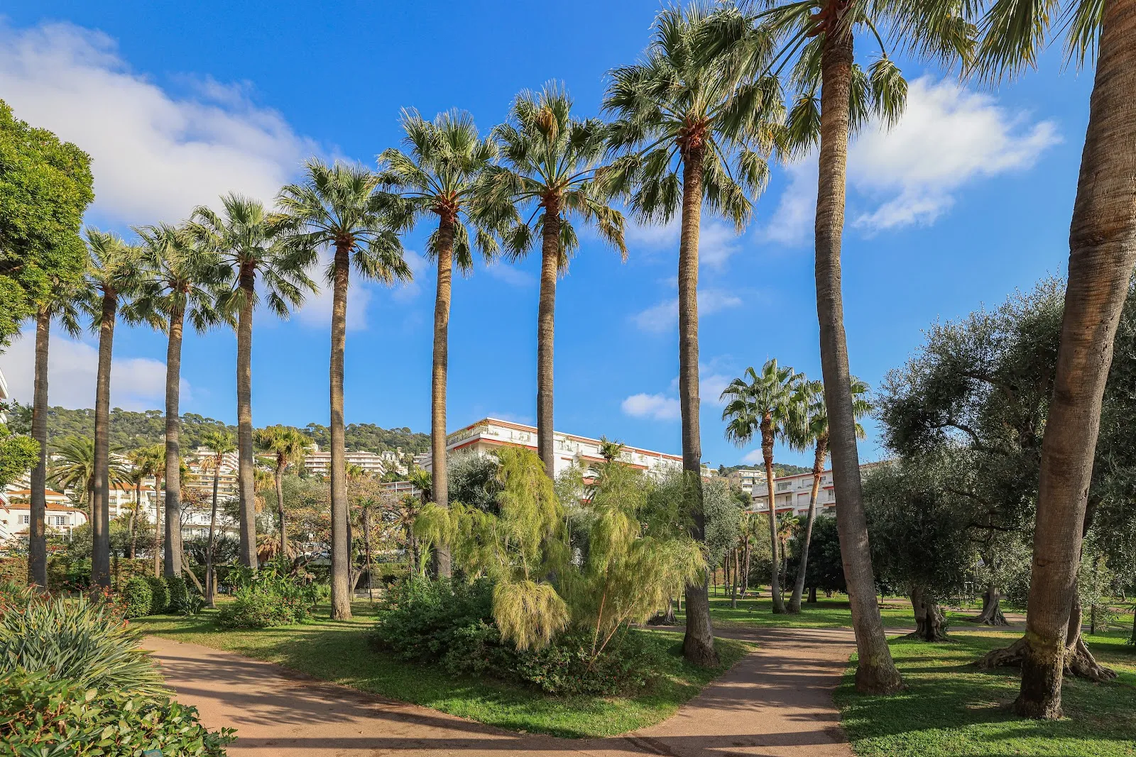 Parc Vigier — photo 1