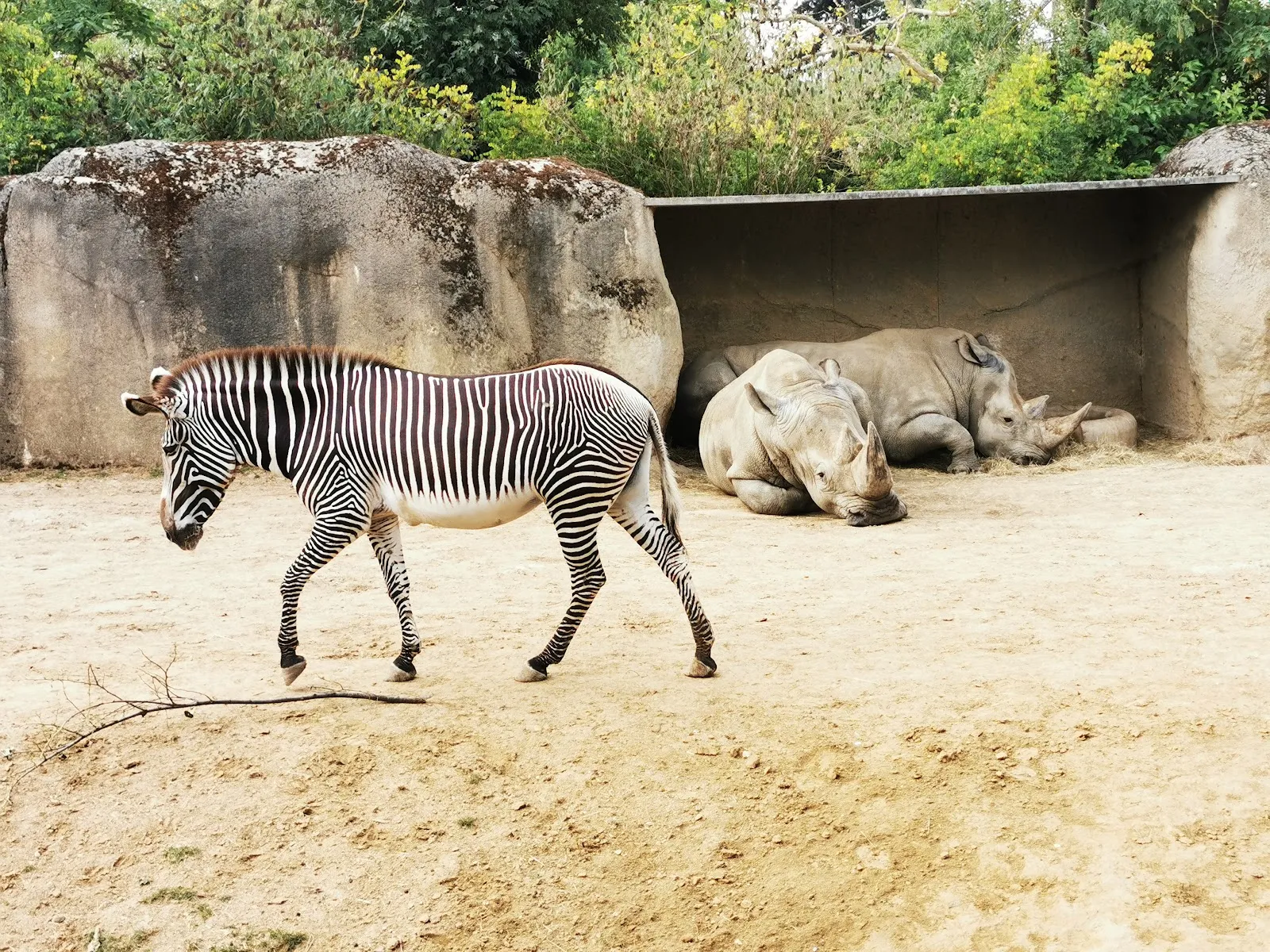 Parc Zoologique De Paris