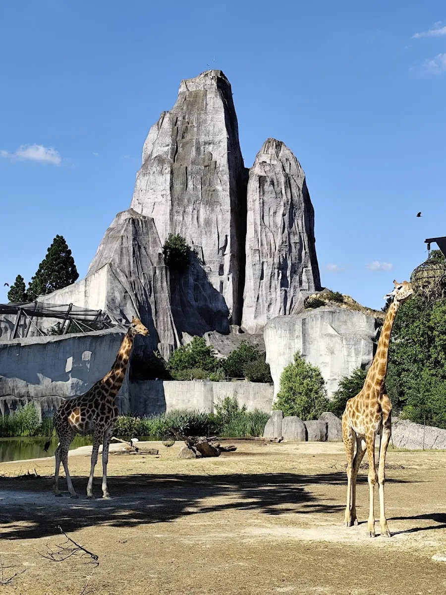 Parc Zoologique De Paris