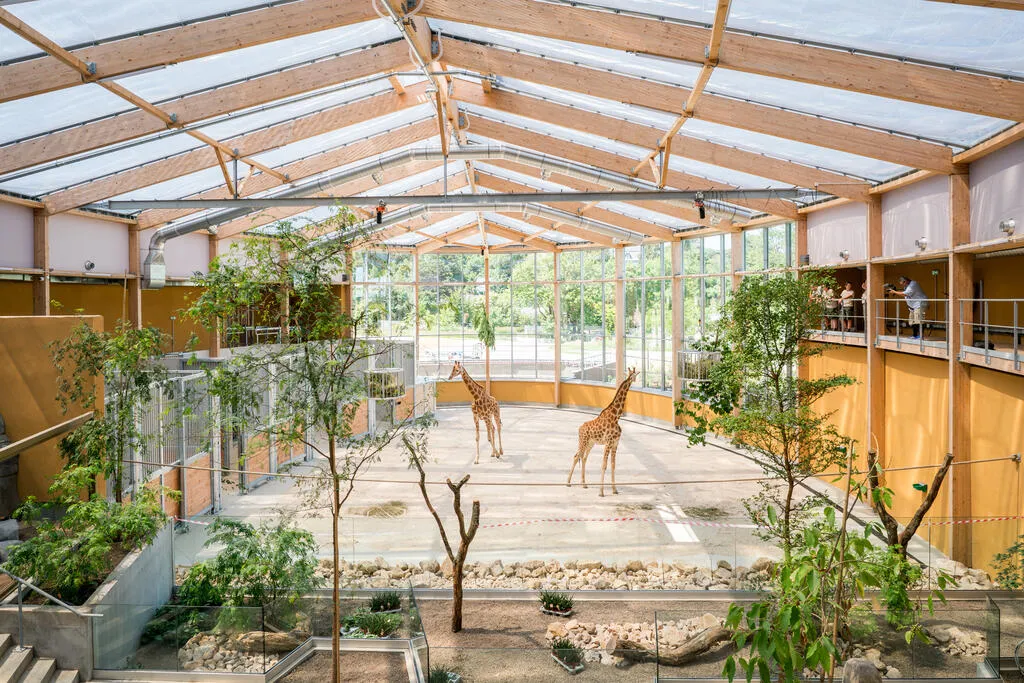 Parc Zoologique Et Botanique De Mulhouse — photo 1